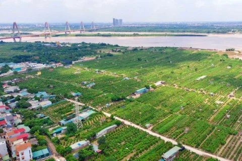 Hà Nội đề xuất cho xây nhiều loại công trình trên đất nông nghiệp ở bãi sông
